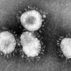 Coronavirus: domande frequenti