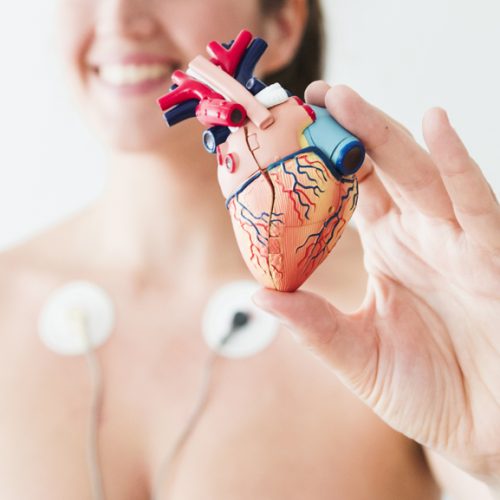 Cuore in “forma”